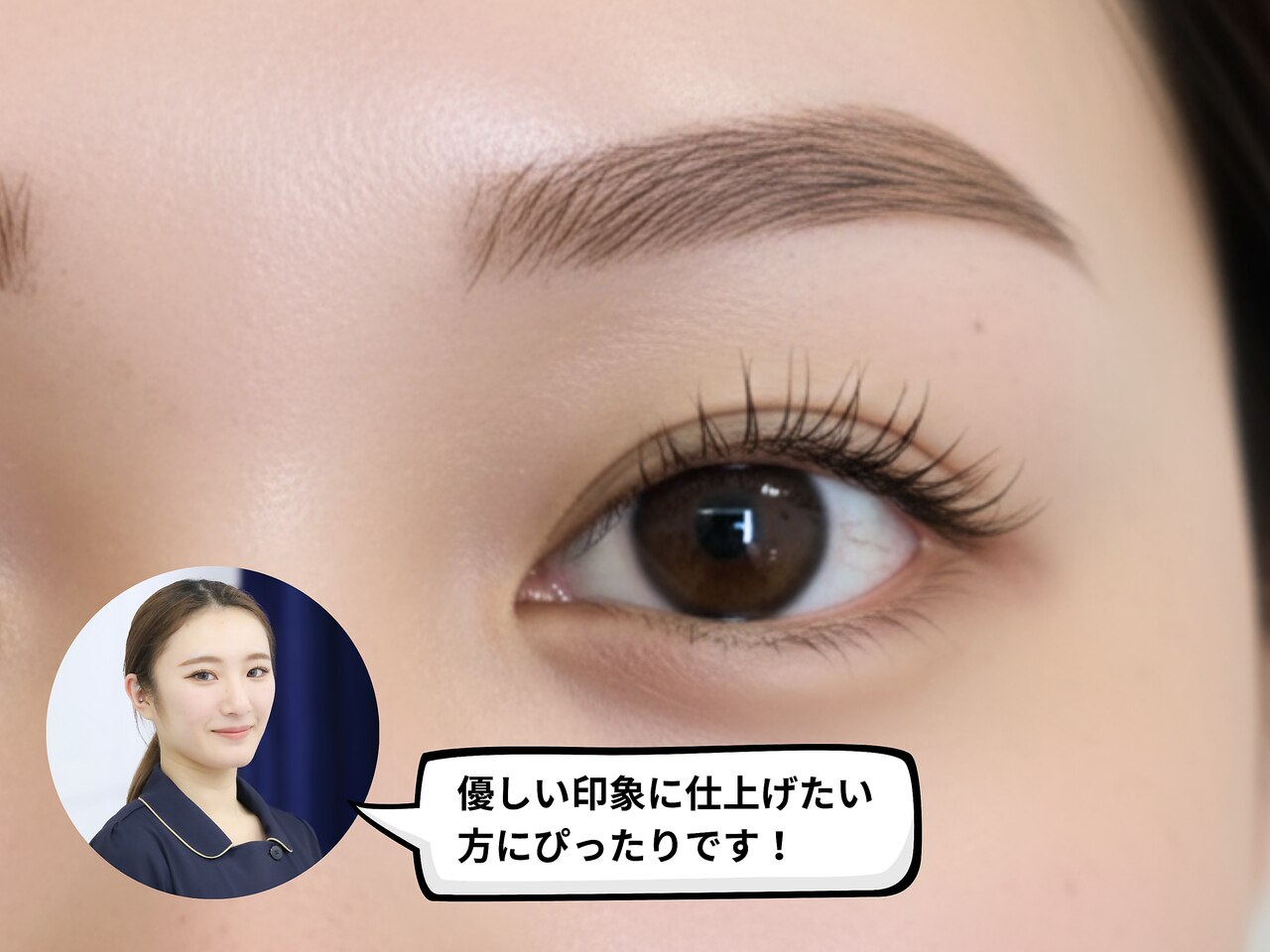 アーチ眉
